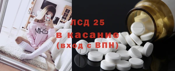 индика Алексеевка