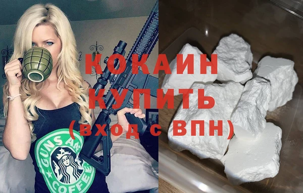 индика Алексеевка