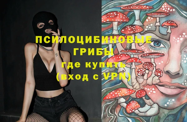 индика Алексеевка
