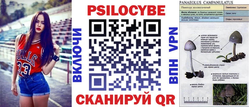 где продают Брюховецкая Псилоцибиновые грибы ЛСД